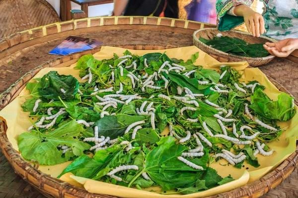 2018養蠶賺錢嗎?養蠶的利潤與投資成本及前景預測
