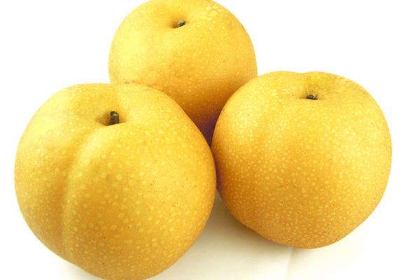 金果梨圖片大全