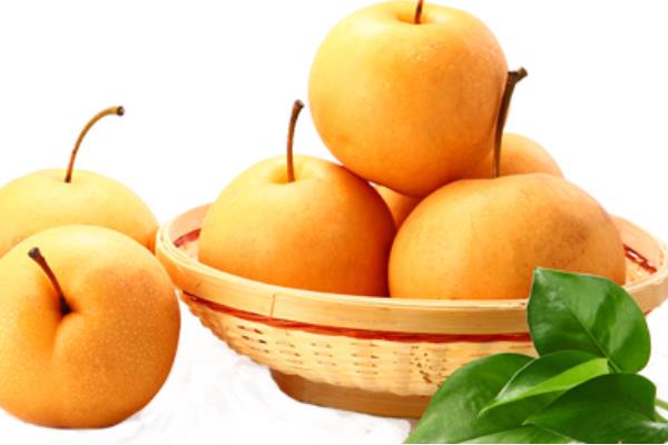 金果梨圖片大全