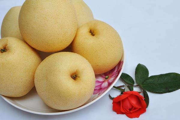 金果梨圖片大全