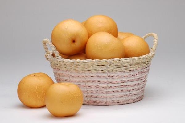 金果梨圖片大全