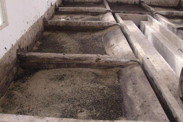 2018養蠅蛆賺錢嗎？蠅蛆養殖的利潤與投資成本及前景預測