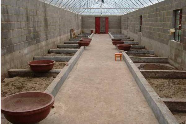 2018養蠅蛆賺錢嗎？蠅蛆養殖的利潤與投資成本及前景預測