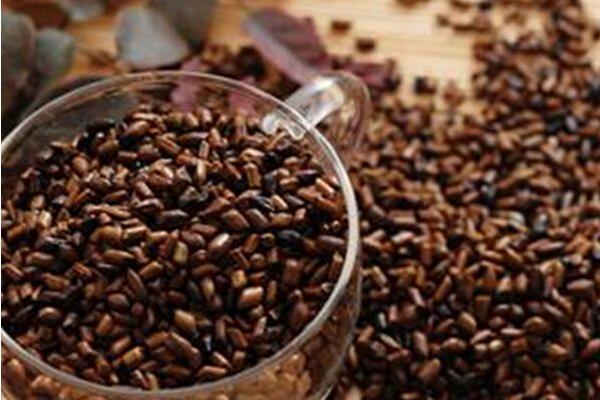 2015種決明子賺錢嗎?2015決明子種植前景及市場價格分析