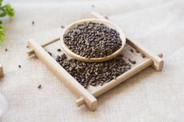 2015種決明子賺錢嗎?2015決明子種植前景及市場價格分析