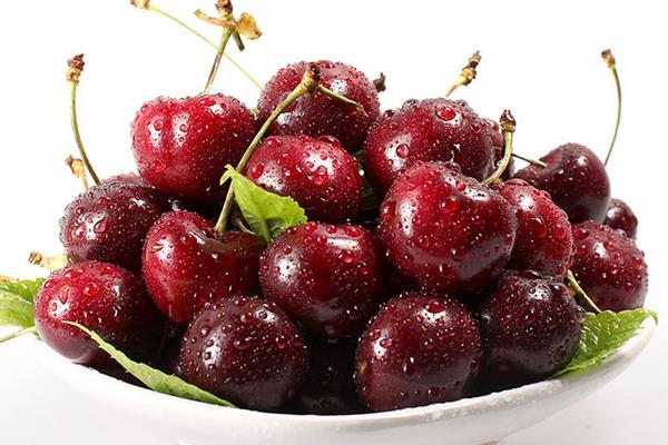 車?yán)遄雍蜋烟业膮^(qū)別是什么