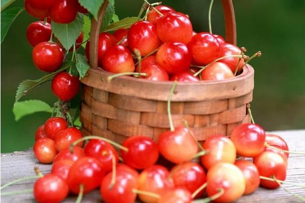 車?yán)遄雍蜋烟业膮^(qū)別是什么