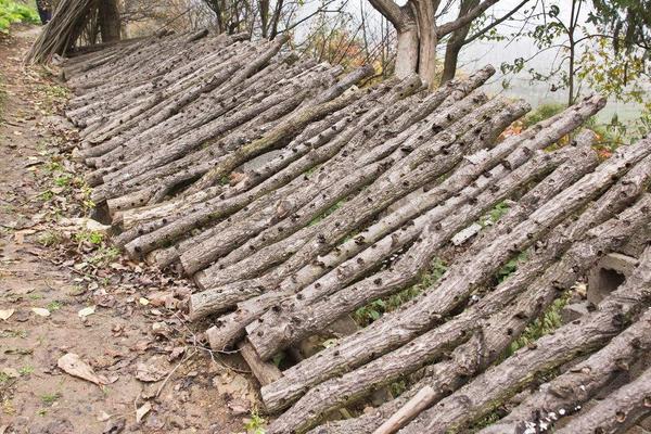 黑木耳種植過程常見問題分析與處理