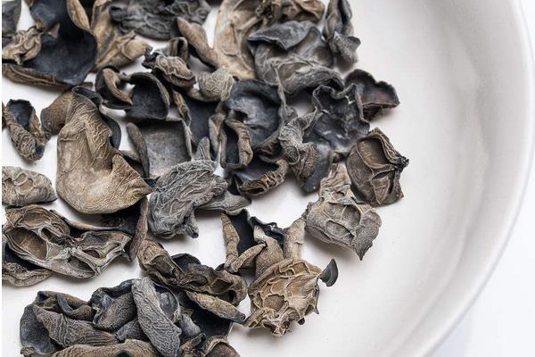 黑木耳種植過程常見問題分析與處理