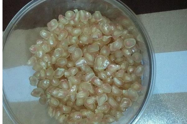 白石榴的功效與作用及禁忌