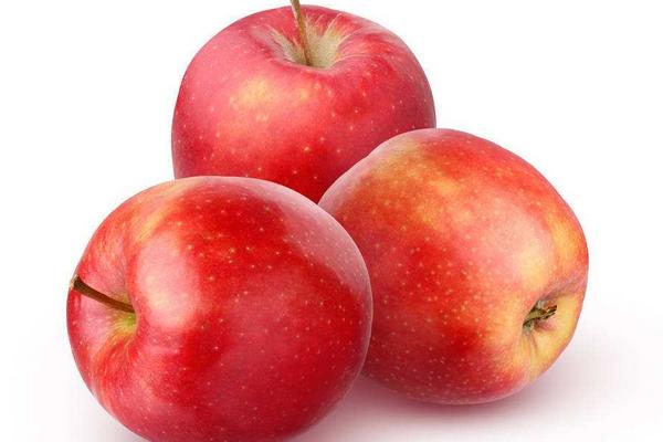 蘋果市場價格多少錢一斤