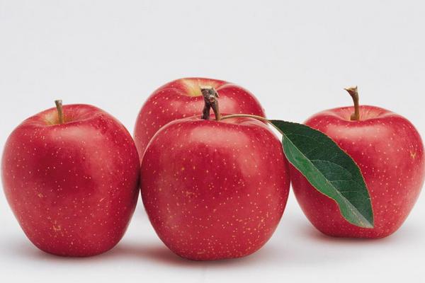 蘋果市場價格多少錢一斤