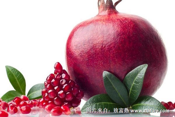 每天吃一個石榴好嗎