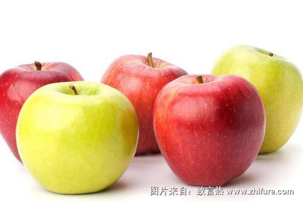 蘋果有哪些品種