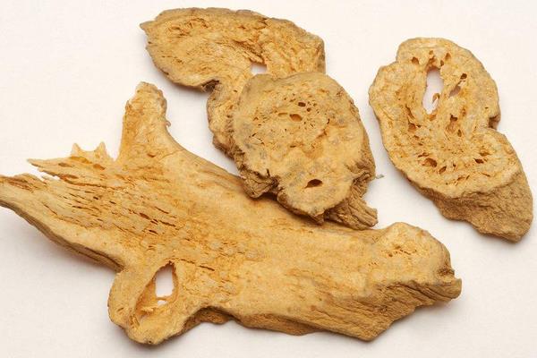 種白術鐵葉病的防治