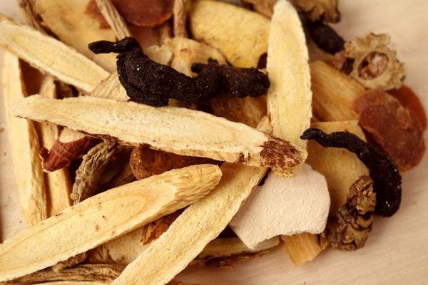 種白術鐵葉病的防治