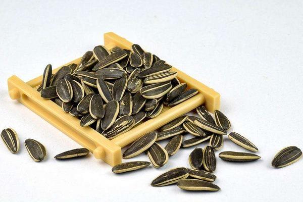 芒果干孕婦可以吃嗎