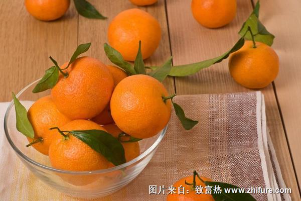 柑桔新品種介紹