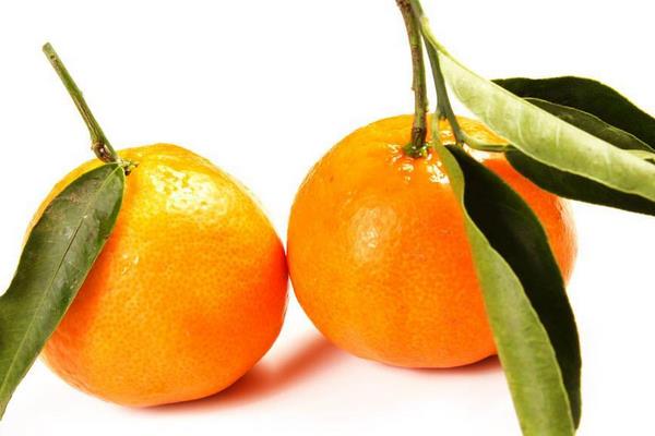 柑桔新品種介紹