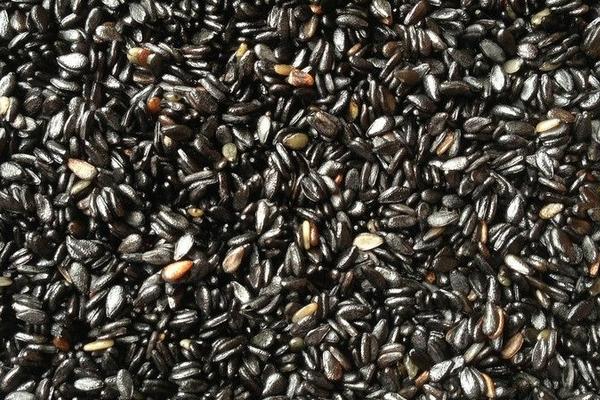 2018種芝麻賺錢嗎?芝麻種植的利潤(rùn)與投資成本及前景預(yù)測(cè)