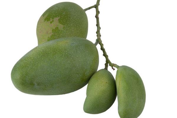 青芒果的功效與作用及禁忌