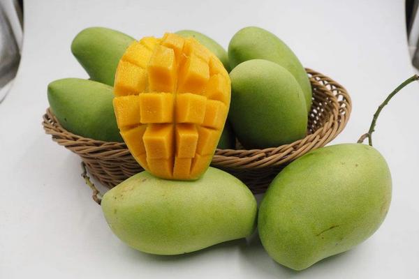 青芒果的功效與作用及禁忌