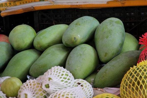 青芒果的功效與作用及禁忌