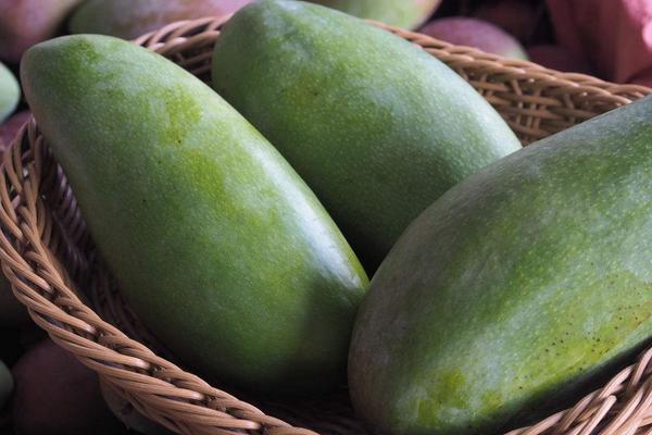 青芒果的功效與作用及禁忌