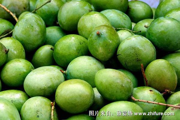 青芒果怎么催熟