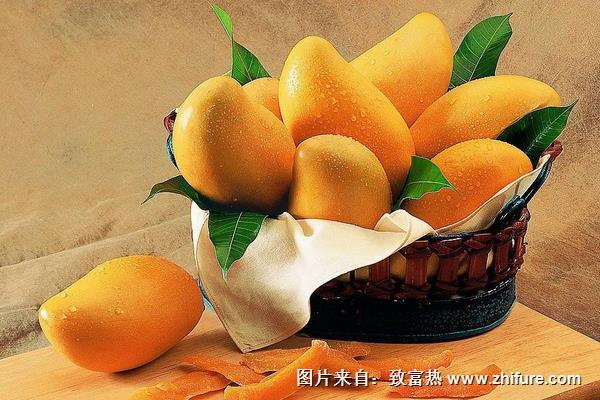 吃芒果過敏怎么辦