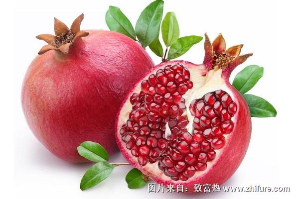 花石榴和果石榴的區(qū)別是什么