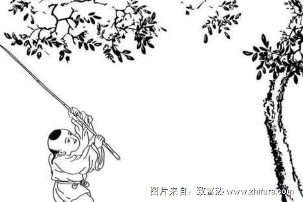 棗樹簡筆畫（圖解步驟）