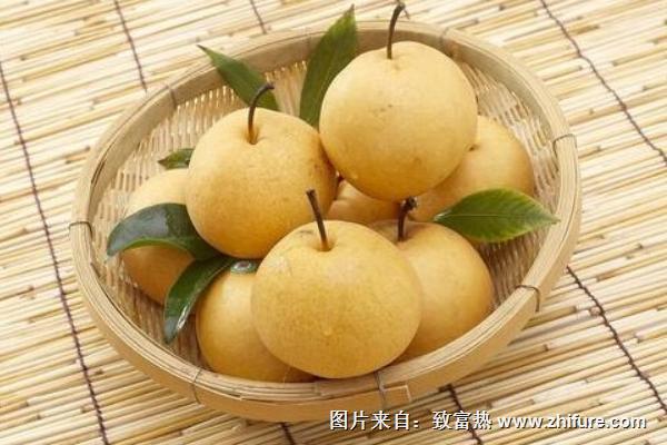 安梨功效與作用及禁忌