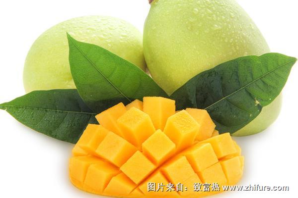 凱特芒果和澳芒哪個好