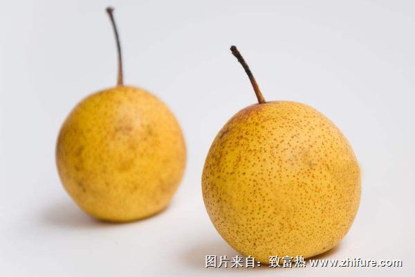 花蓋梨功效與作用及禁忌