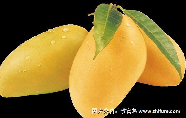 芒果價格多少錢一斤