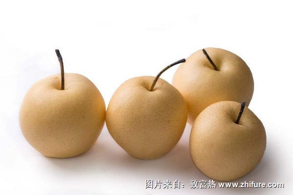 蜜梨功效與作用及禁忌