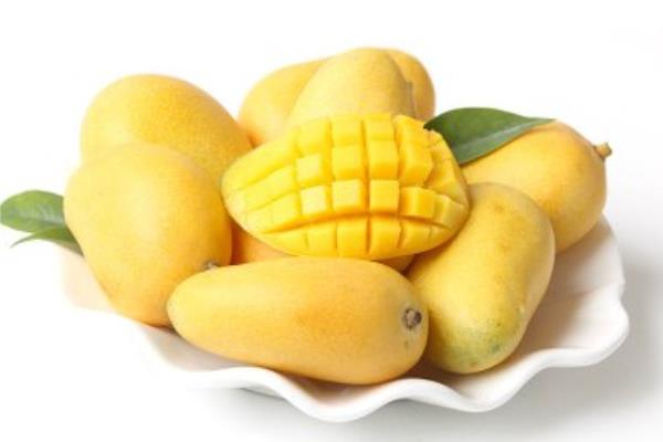 小芒果價格多少錢一斤