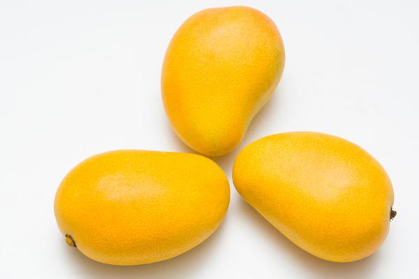 小芒果價格多少錢一斤