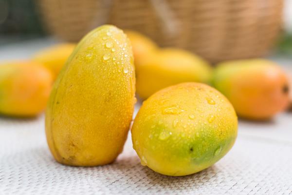 小芒果圖片大全