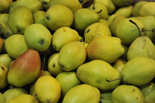 香梨等級怎么劃分的