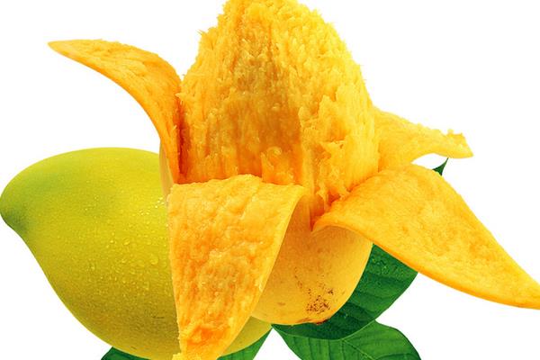 小芒果圖片大全