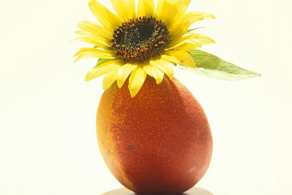 小芒果圖片大全