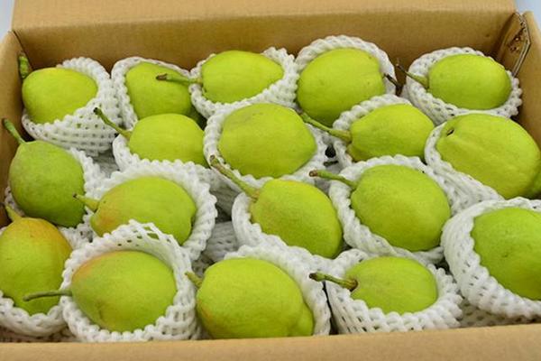 香梨等級怎么劃分的