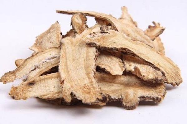 當歸三大常見病害的防治