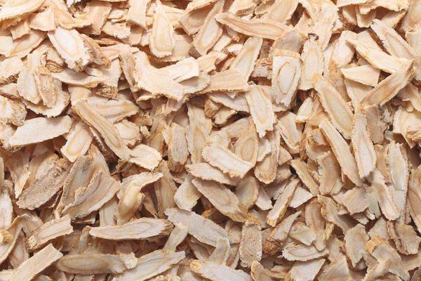 當歸三大常見病害的防治