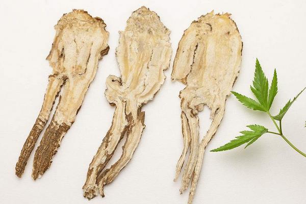 當歸三大常見病害的防治