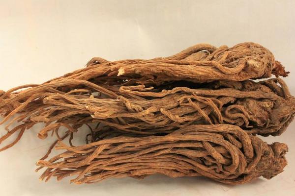 當歸三大常見病害的防治