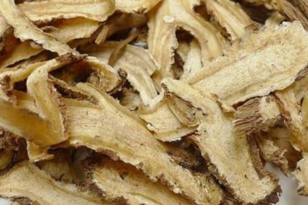 當歸三大常見病害的防治