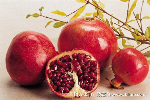 石榴什么季節(jié)吃最好